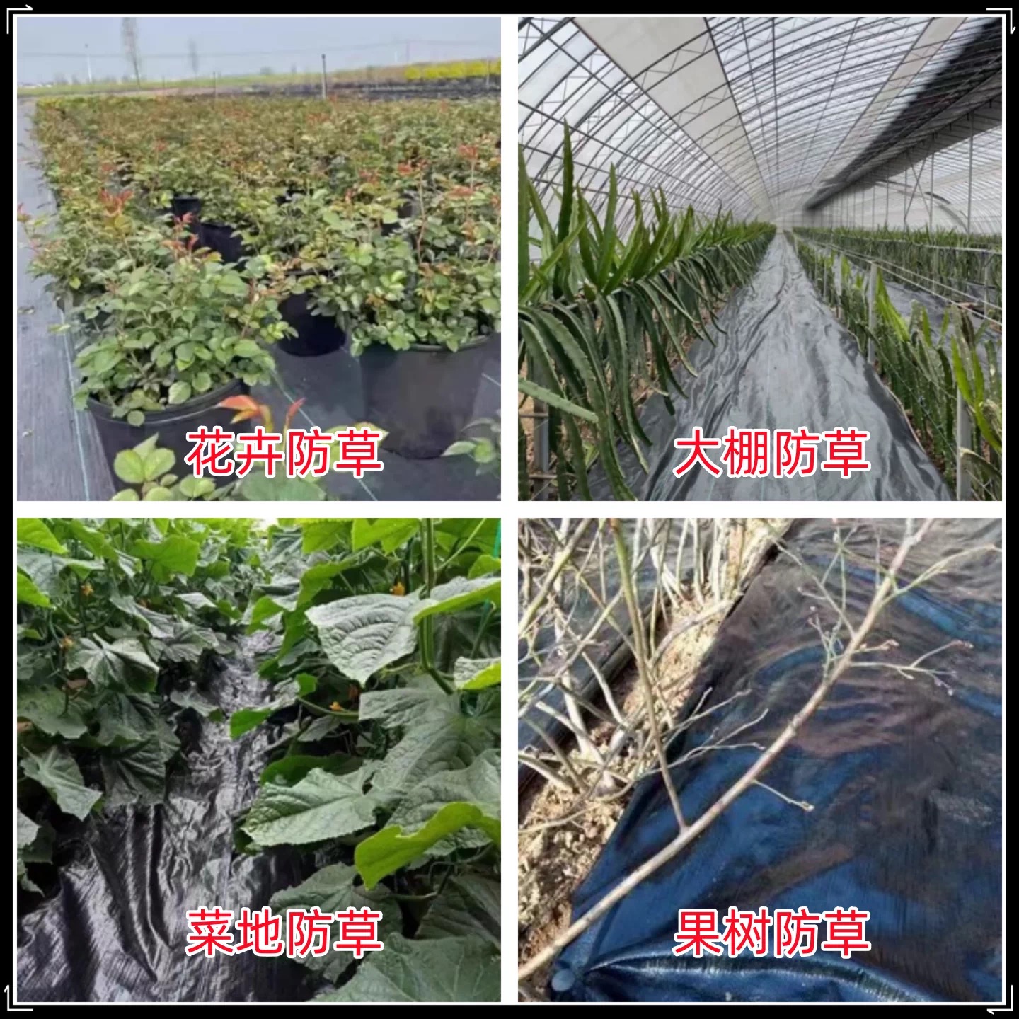 泉州市防草布防草布 - 排名