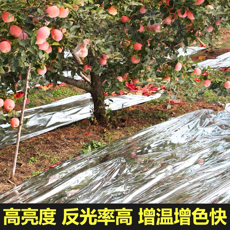 泉州市工程膜果树反光膜 - 排名